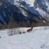 Monte Estelletta 2316 m