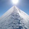 Punta Parrot 4436 m