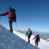 Punta Parrot 4436 m