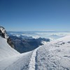 Punta Parrot 4436 m
