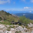 Vado Ligure