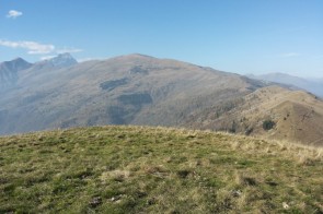 birrone-2.jpg