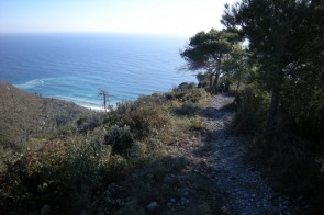 finalese-1.jpg