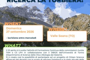 whatsapp-image-2026-09-21-at-08-12-14.jpeg