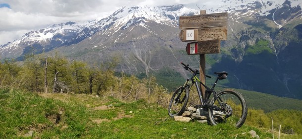 Grange Marzo
Bergeria Martina