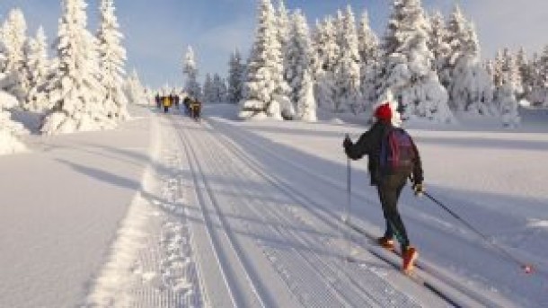 Sci di fondo su pista